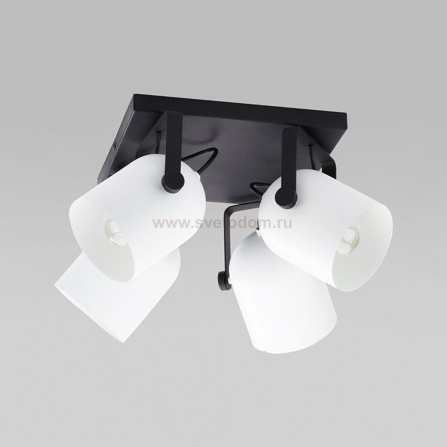Потолочный светильник 3493 Spectra Black White TK Lighting