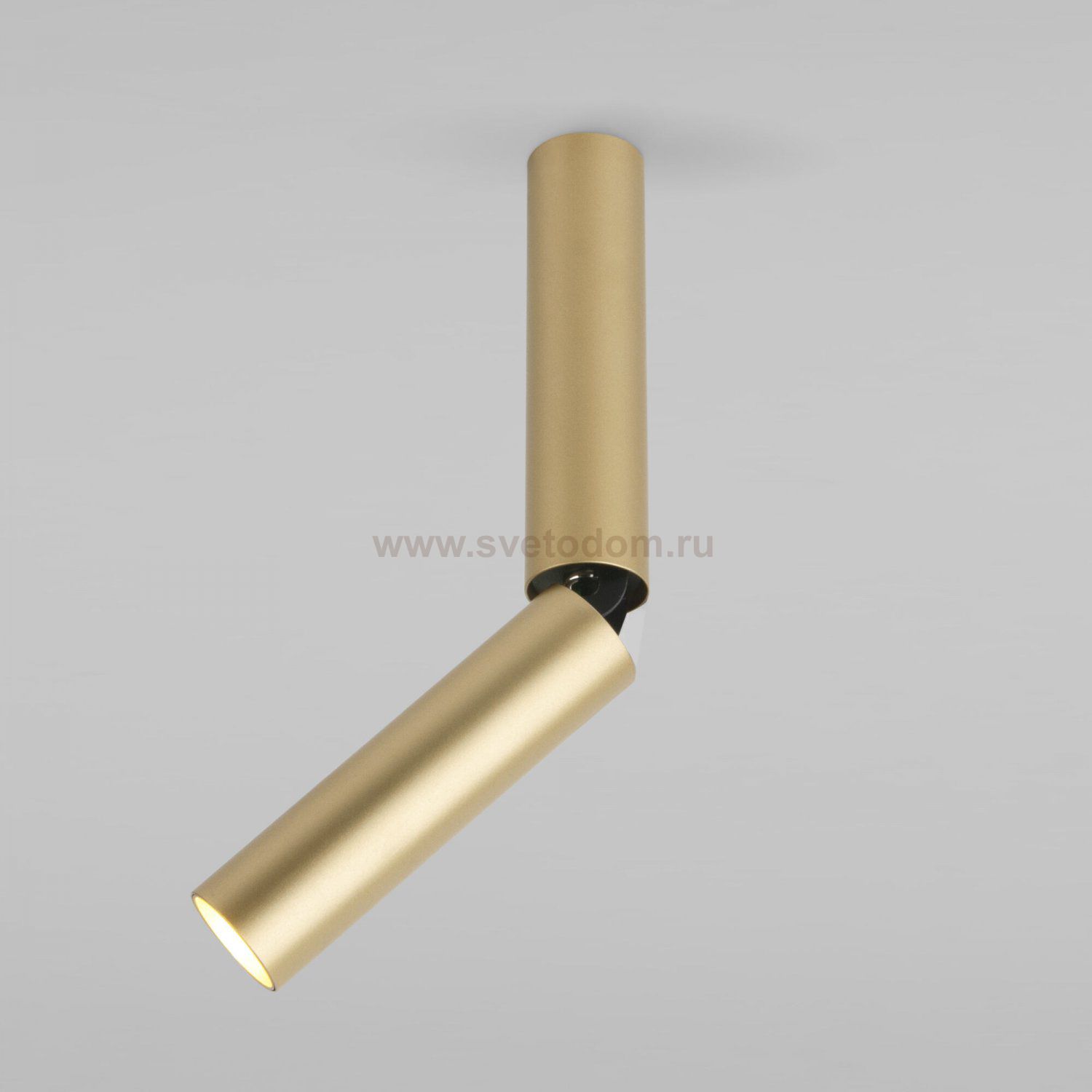 Pika 6W (25029/LED)/Светильник накладной золото 25029/LED Elektrostandard