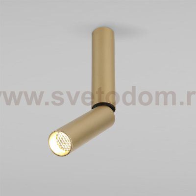 Pika 6W (25029/LED)/Светильник накладной золото 25029/LED Elektrostandard