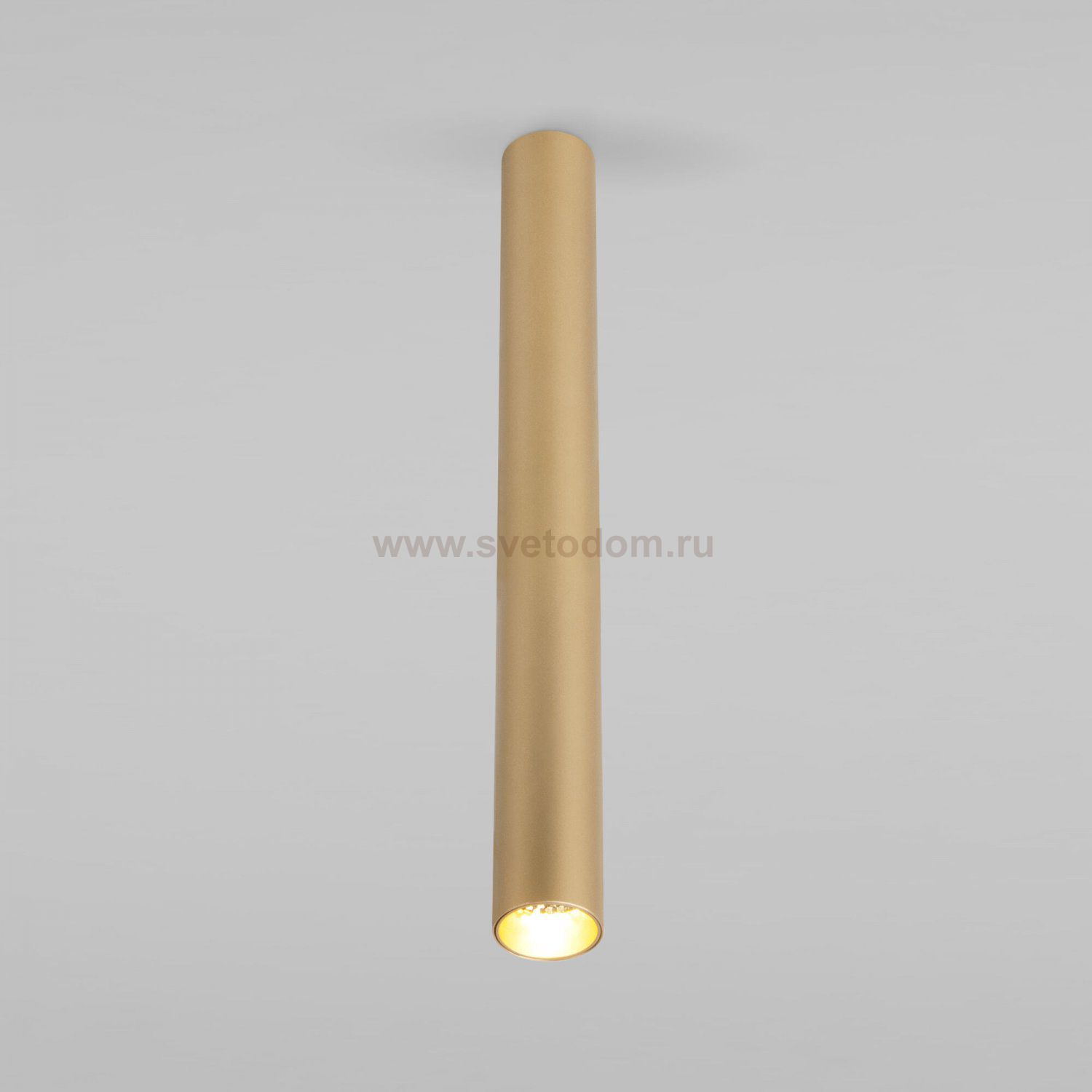 Pika 6W (25030/LED)/Светильник накладной золото 25030/LED Elektrostandard