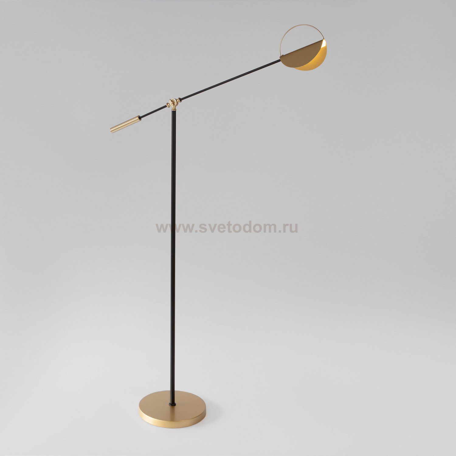 Напольный светильник 01143/1 черный/золото Eurosvet
