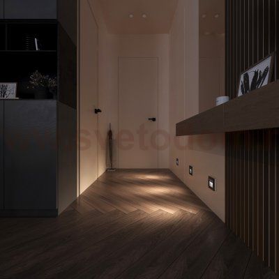 Встраиваемая LED подсветка три режима с датчиком движения  (серебряный) W1154606 Werkel