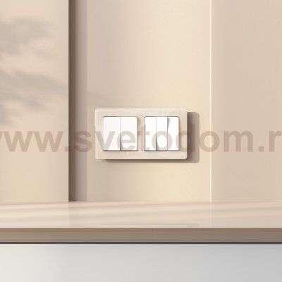 Выключатель двухклавишный с самовозвратом (белый) Werkel W1122401