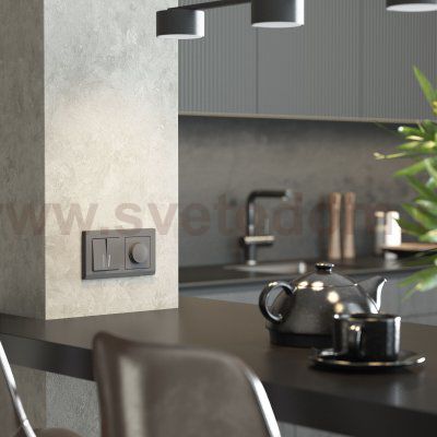 Рамка на 2 поста Stark (графит матовый) W0021864 Werkel