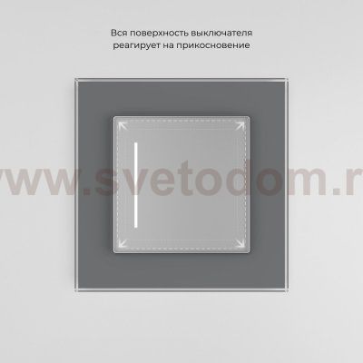 Сенсорный выключатель одноклавишный с подсветкой (серебряный) W4512006 Werkel