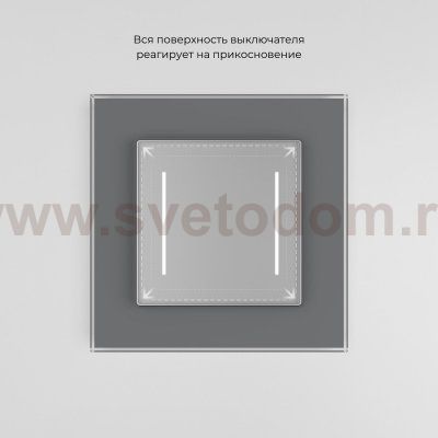 Сенсорный выключатель двухклавишный с подсветкой (серебряный) W4522006 Werkel