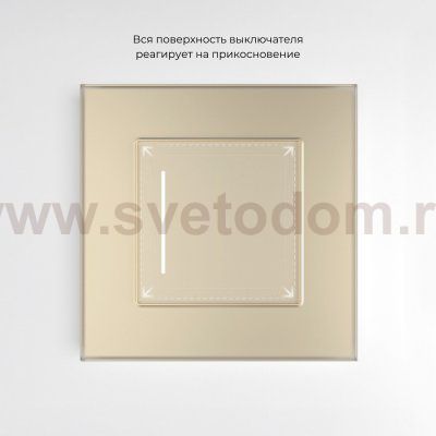 Сенсорный выключатель одноклавишный с подсветкой (шампань) W4512011 Werkel