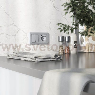 Накладка для розетки USB  (серебряный матовый) W1179565 Werkel