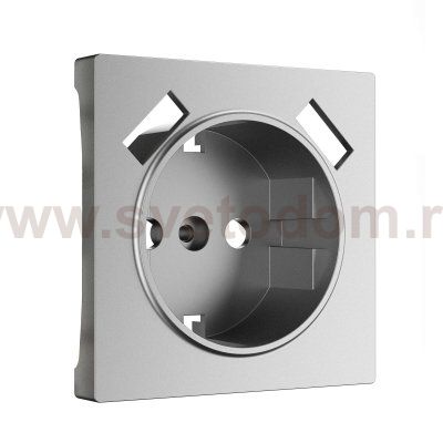Накладка для розетки USB  (серебряный матовый) W1179565 Werkel