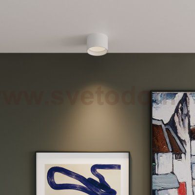 Светильник потолочный светодиодный Banti 13W 3000K белый 25123/LED Elektrostandard