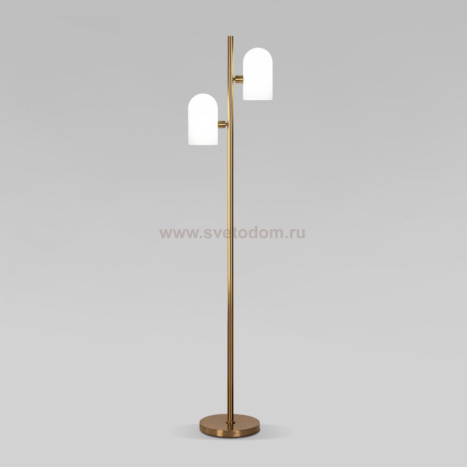 Торшер напольный Eurosvet 01164/2 латунь Bambola