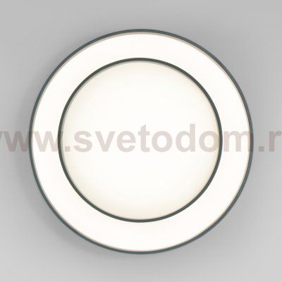 Потолочный светильник Eurosvet 90330/2 серый Force