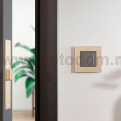 Рамка на 1 пост AluMax (шампань) Werkel W0013511