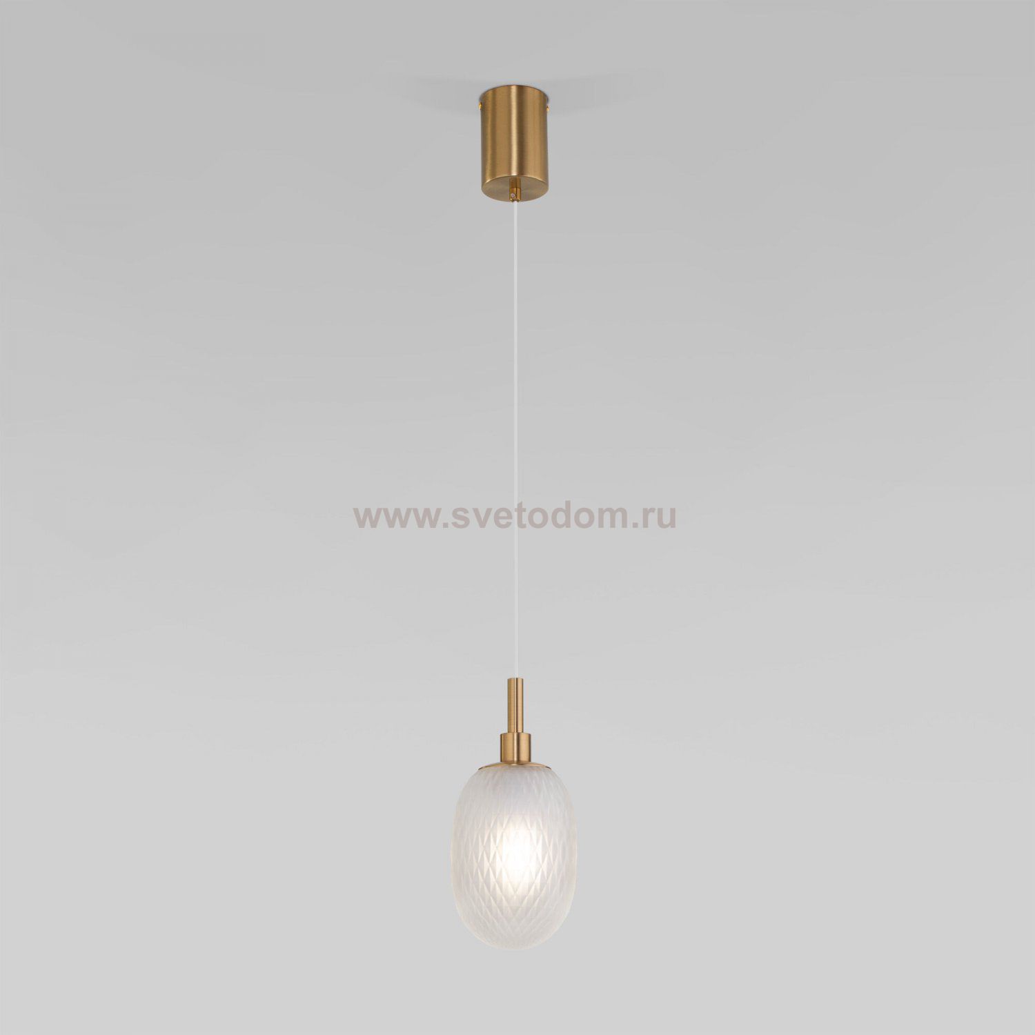 Подвесной светильник со стеклянным плафоном Eurosvet 50266/1 прозрачный