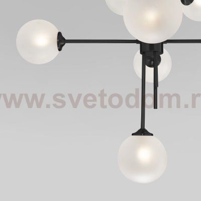 Потолочный светильник со стеклянными плафонами Eurosvet 50383 черный