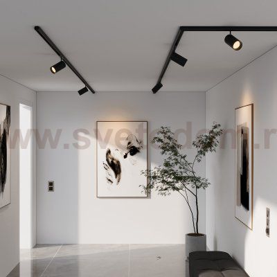 Slim Magnetic R02 Трековый светильник 12W 3000K черный 85012/01 Elektrostandard