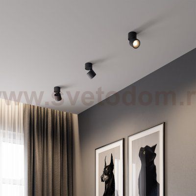 Светильник потолочный светодиодный Rolly 9W 3000K черный 25112/LED Elektrostandard