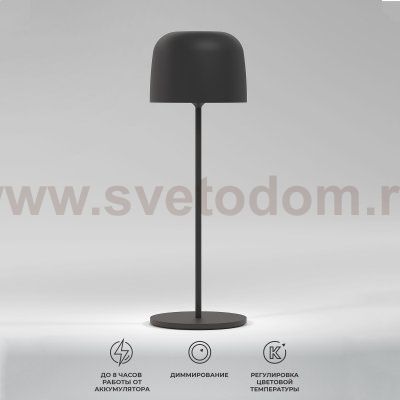 Светильник светодиодный настольный Bitty черный TL70260 Elektrostandard