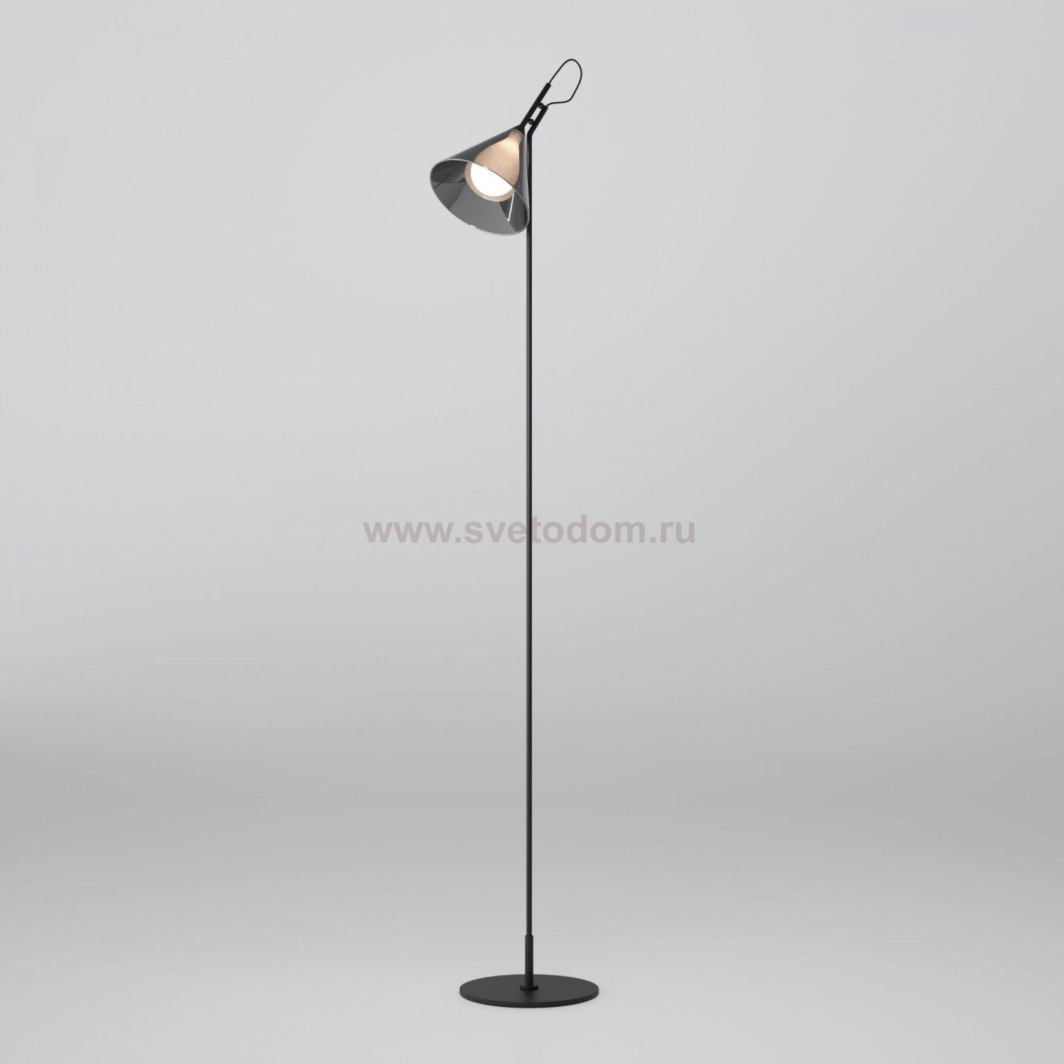 Напольный светильник со стеклянным плафоном 01187/1 черный
