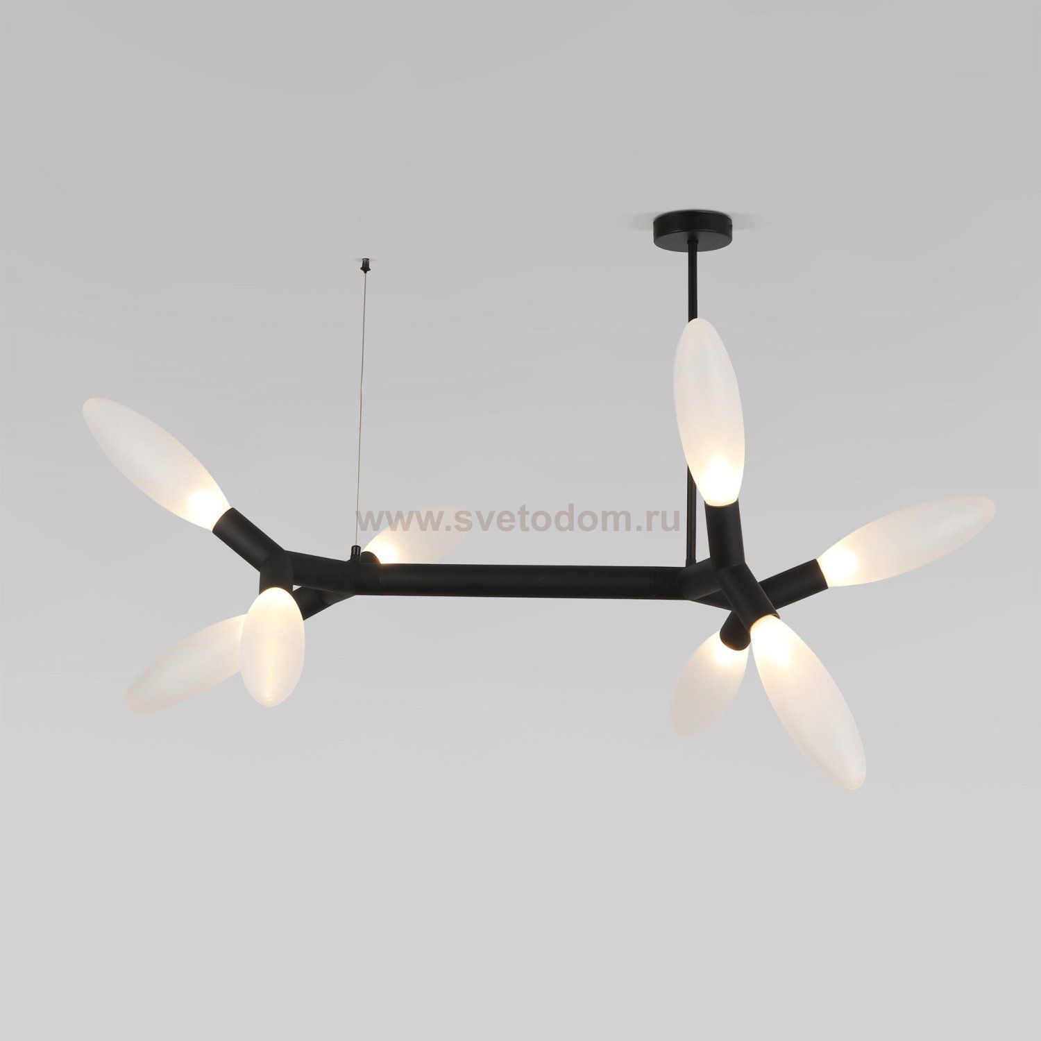 Потолочный светильник 30180 черный Eurosvet