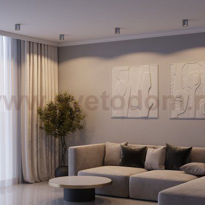 Светильник потолочный светодиодный Primo 12W 4000K титан 25116/LED