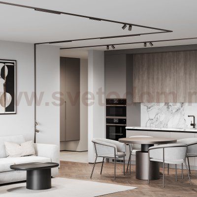 Titan Line Трековый светильник 10W 3000K титан 85525/01 Elektrostandard