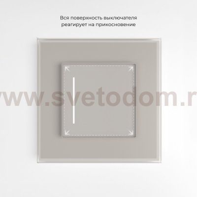 Умный сенсорный выключатель одноклавишный (дымчатый) Werkel W4513641