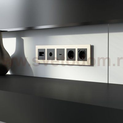 Рамка из металла на 5 постов AluMax шампань алюминий W0053511