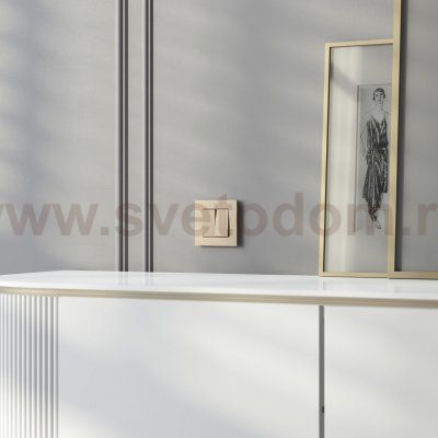 W0012911/ Рамка на 1 пост Slab (шампань софт) W0012911