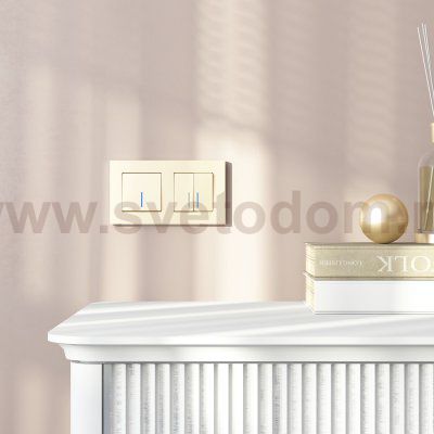 W0022911/ Рамка на 2 поста Slab (шампань софт) W0022911