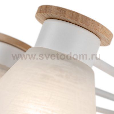 Плафон стекло 120мм Е27 Arte Lamp A1031AP/PL TYLER