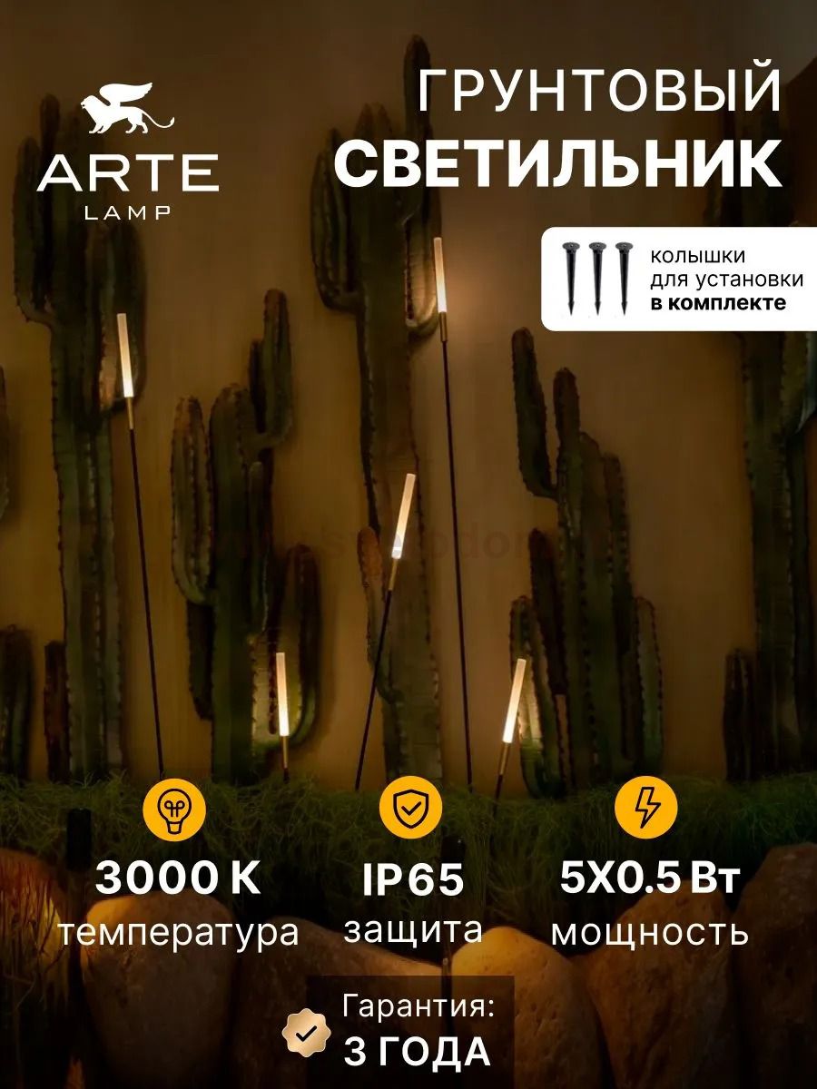 Грунтовый светильник Arte Lamp MUSTER A1083PA-5BK