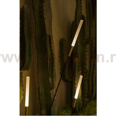 Грунтовый светильник Arte Lamp MUSTER A1083PA-5BK