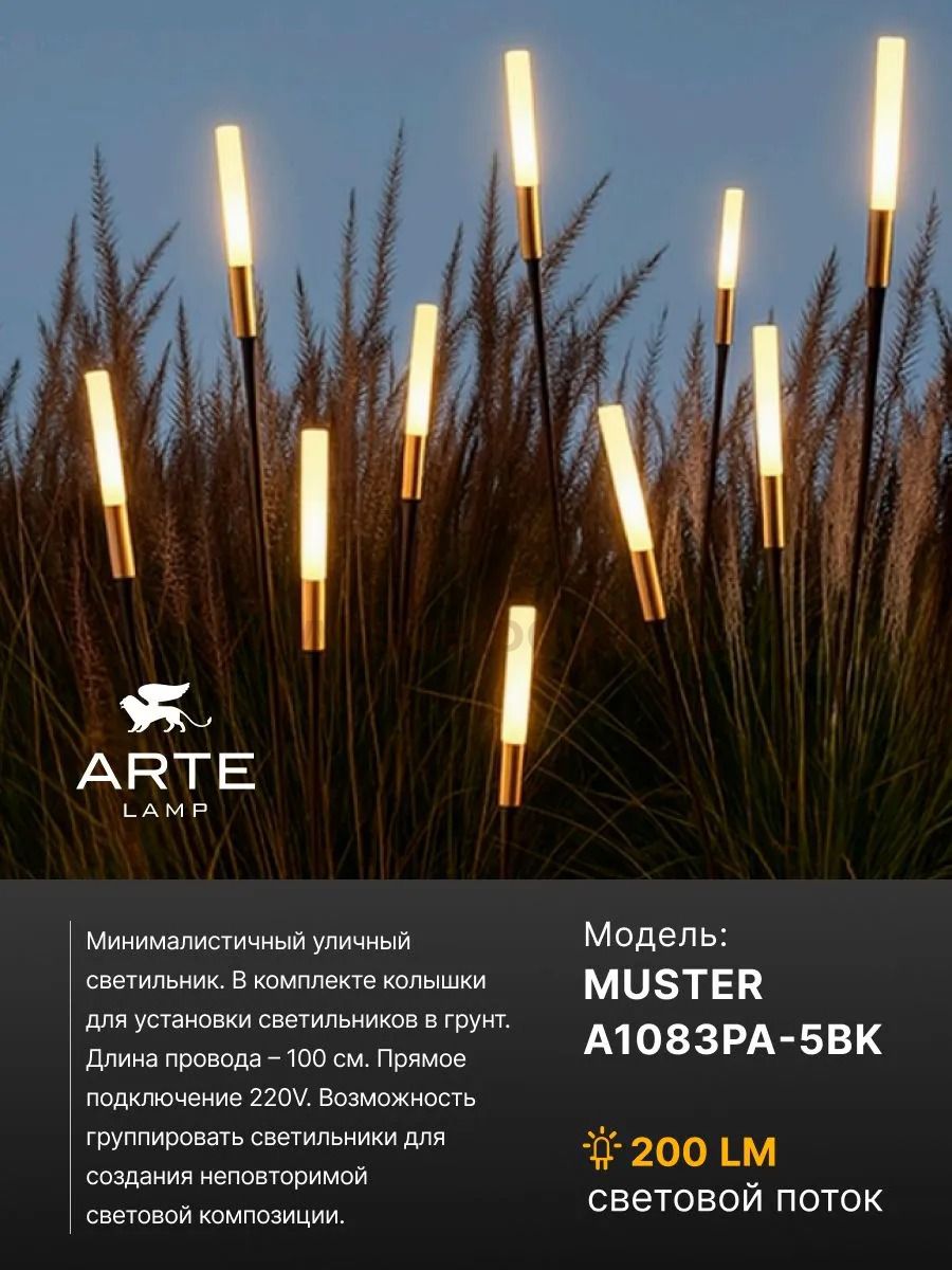 Грунтовый светильник Arte Lamp MUSTER A1083PA-5BK