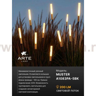Грунтовый светильник Arte Lamp MUSTER A1083PA-5BK