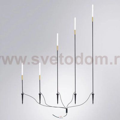 Грунтовый светильник Arte Lamp MUSTER A1083PA-5BK