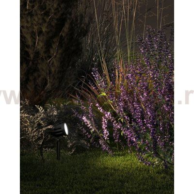 Грунтовые светильники Arte Lamp A1127IN-1BK ELSIE