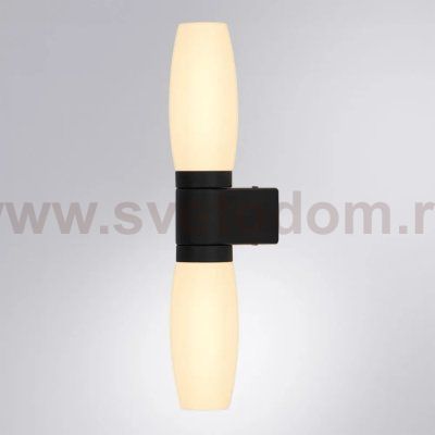 Светильник настенный Arte Lamp A1209AP-2BK AQUA-BASTONE