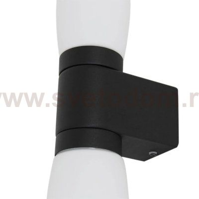 Светильник настенный Arte Lamp A1209AP-2BK AQUA-BASTONE