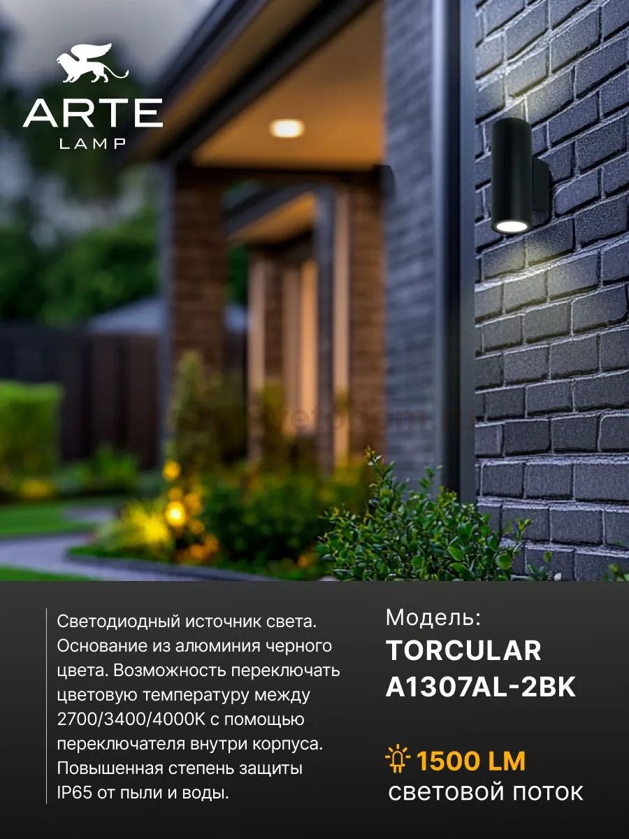 Фасадный светильник Arte Lamp TORCULAR A1307AL-2BK