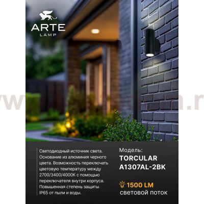 Фасадный светильник Arte Lamp TORCULAR A1307AL-2BK