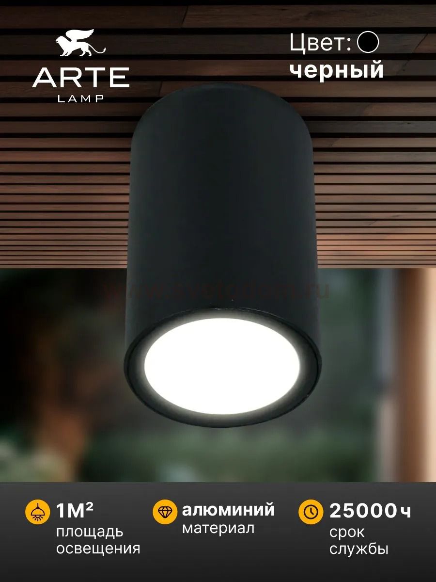 Уличный потолочный светильник Arte Lamp TORCULAR A1307PF-1BK