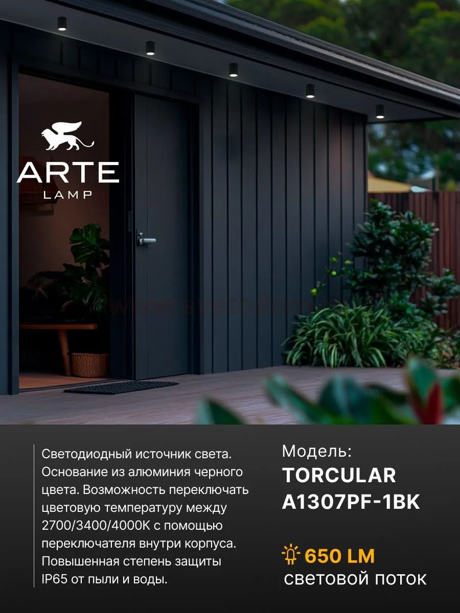 Уличный потолочный светильник Arte Lamp TORCULAR A1307PF-1BK
