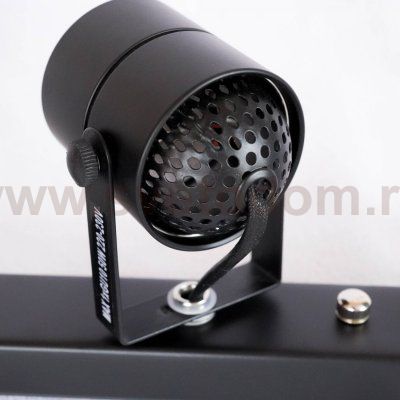 Светильник потолочный Arte lamp A1310PL-2BK LENTE