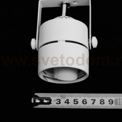 Светильник потолочный Arte lamp A1310PL-2WH LENTE