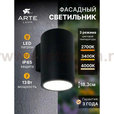 Фасадный светильник Arte Lamp TORCULAR A1313AL-1BK