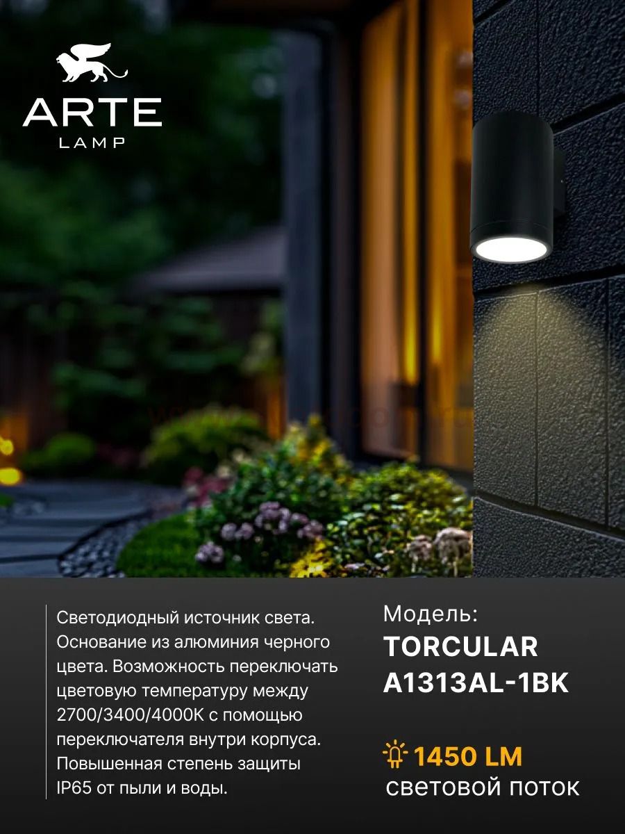Фасадный светильник Arte Lamp TORCULAR A1313AL-1BK