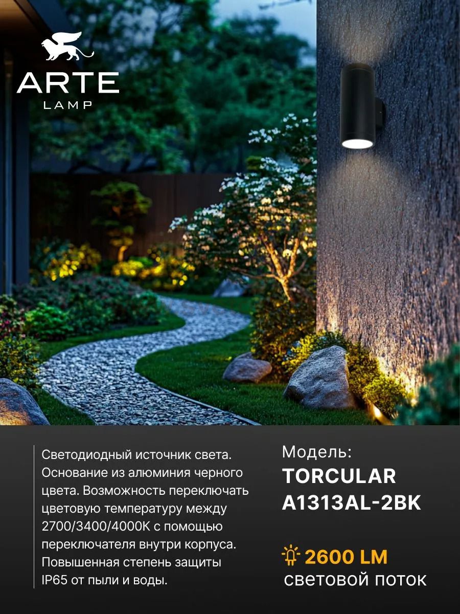 Фасадный светильник Arte Lamp TORCULAR A1313AL-2BK