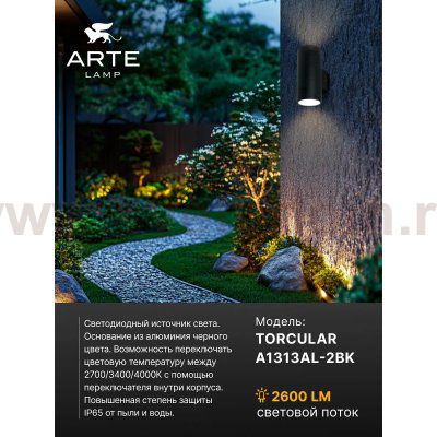 Фасадный светильник Arte Lamp TORCULAR A1313AL-2BK