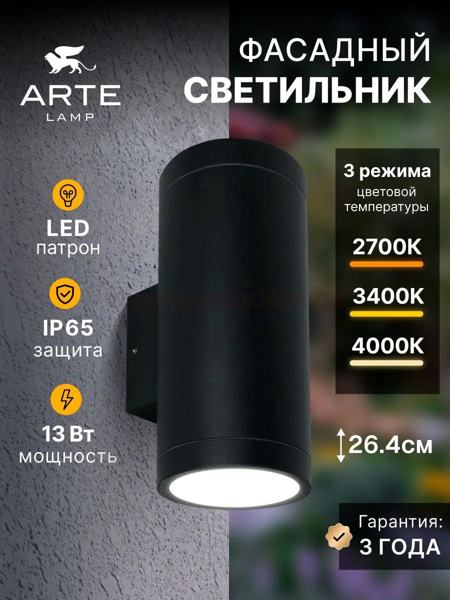 Фасадный светильник Arte Lamp TORCULAR A1313AL-2BK
